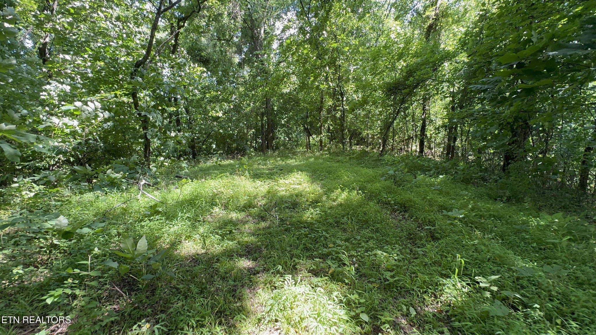 301 Holloway Road Newport, TN 37821 - Photo 41 of 51 Gallery Image 41