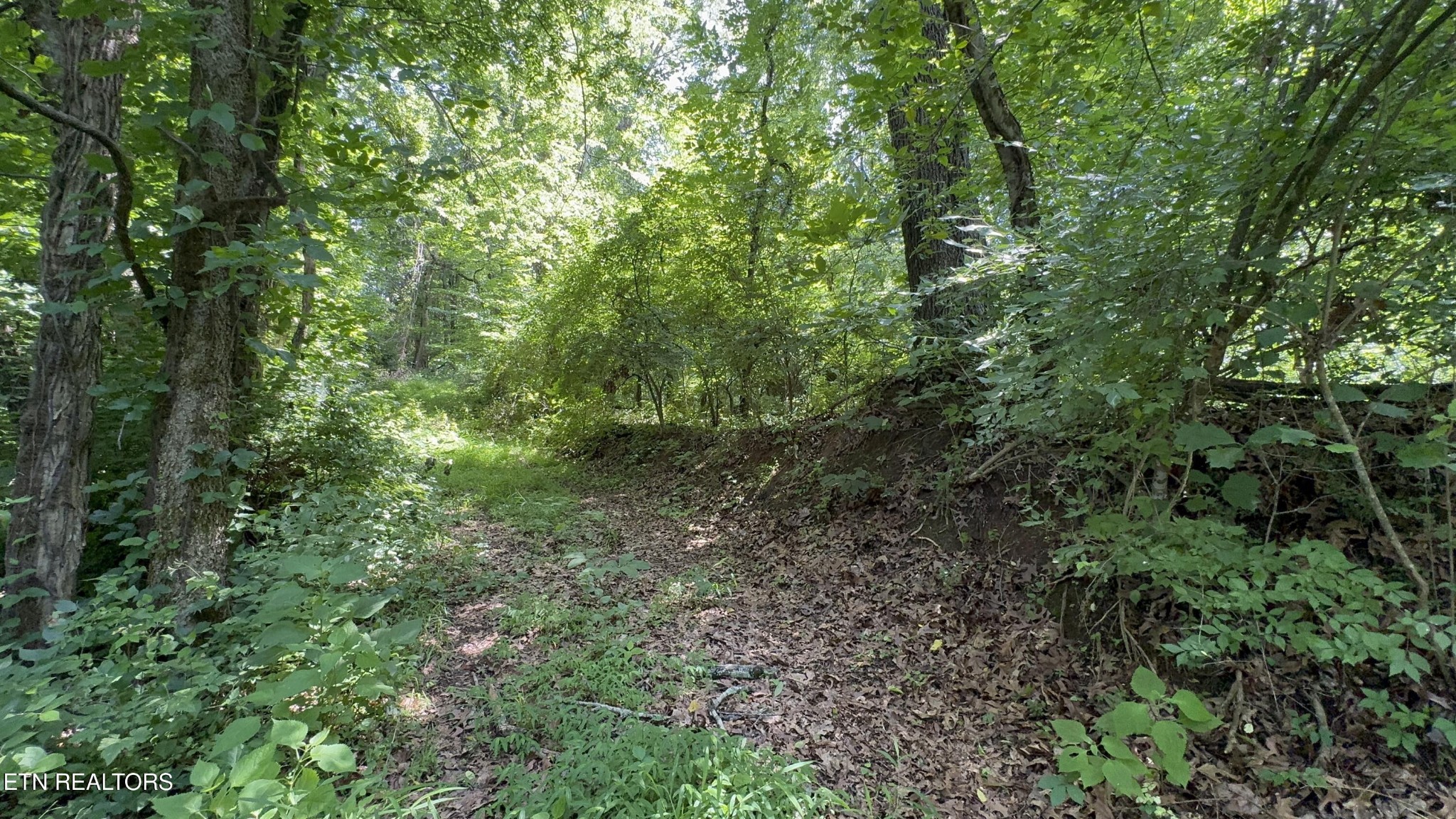 301 Holloway Road Newport, TN 37821 - Photo 50 of 51 Gallery Image 50