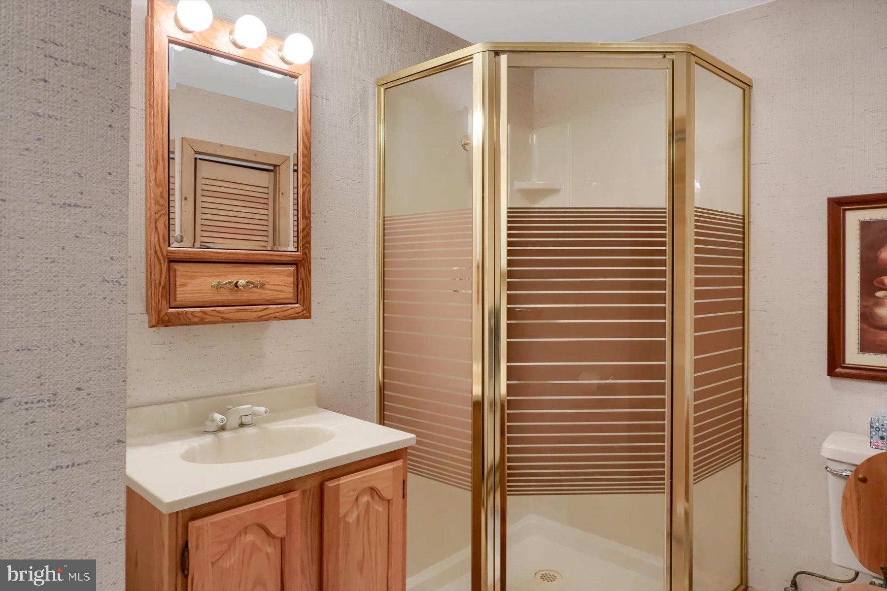 1105 Red Hill Road Port Trevorton, PA 17864 - Photo 60 of 71 a bathroom with a sink a toilet and shower