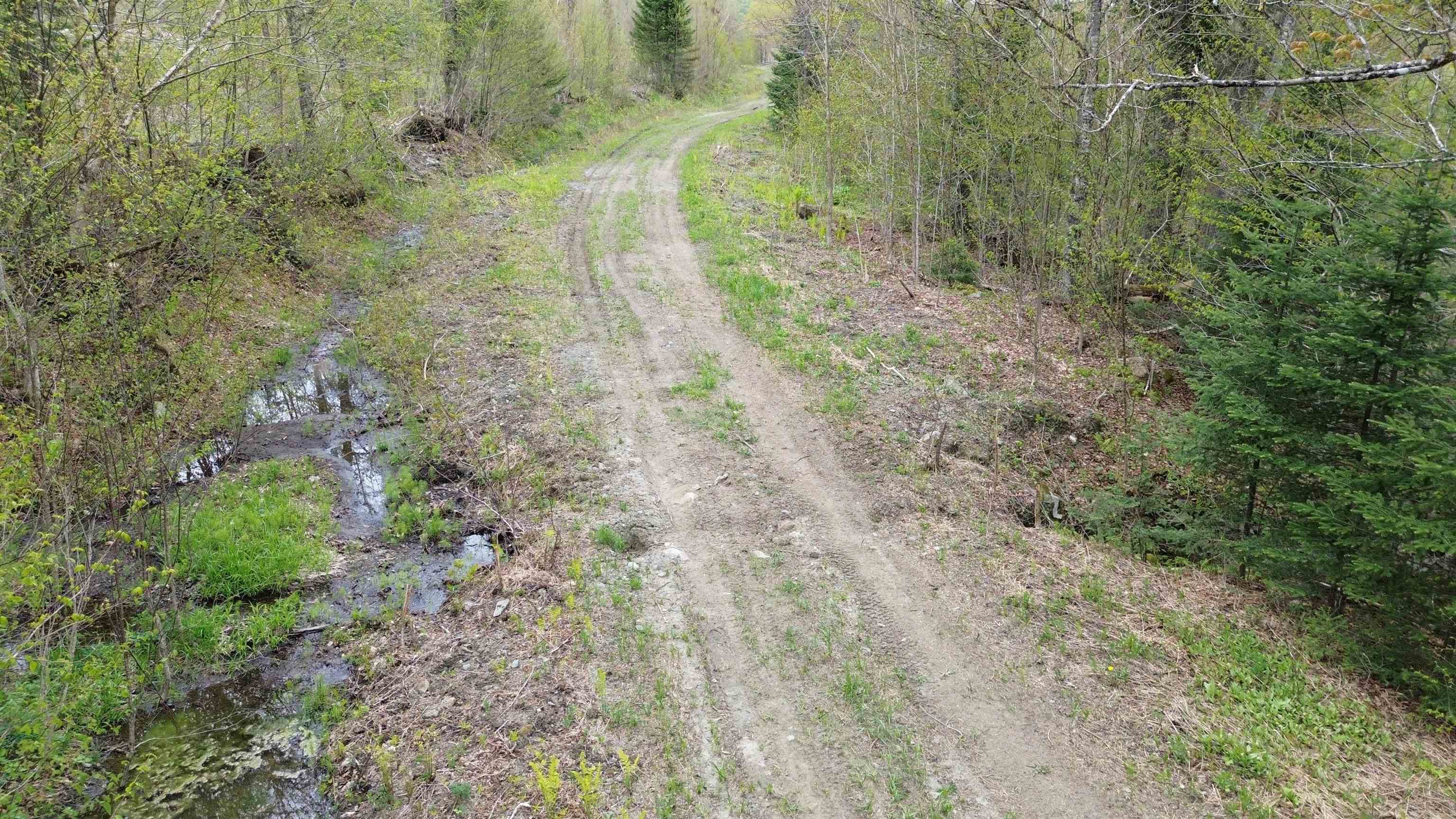 Mapb2-lot16 Dead Water Road Stewartstown, NH 03576 - Photo 29 of 31