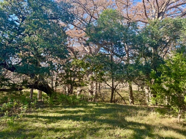 140 Spring Branch Drive Leakey, TX 78873 - Photo 3 of 23