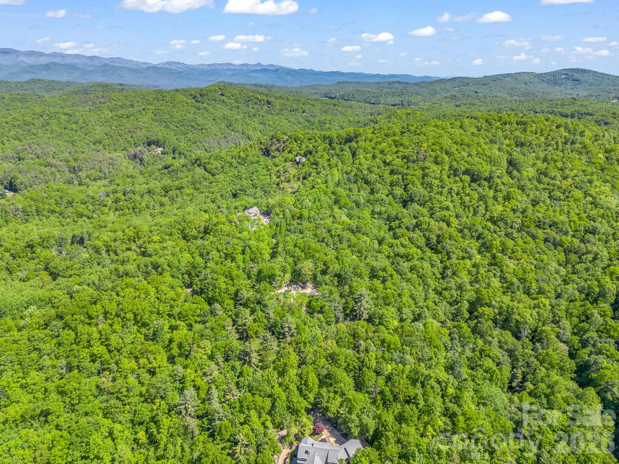 352 Big Hill Road Brevard, NC 28712 - Photo 11 of 31