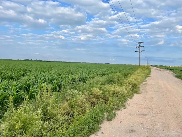a view of a pathway both side of grassy field with shrub
