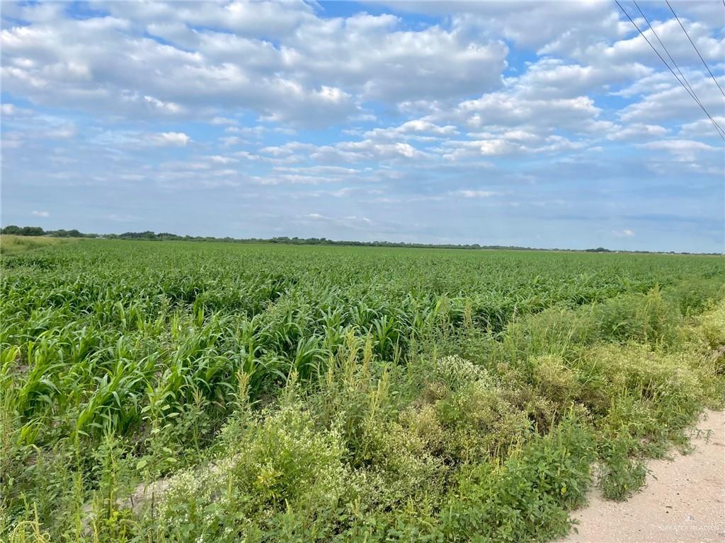 15 1/2 Road North Weslaco, TX 78599 - Photo 2 of 2 a view of a big yard with lots of green space