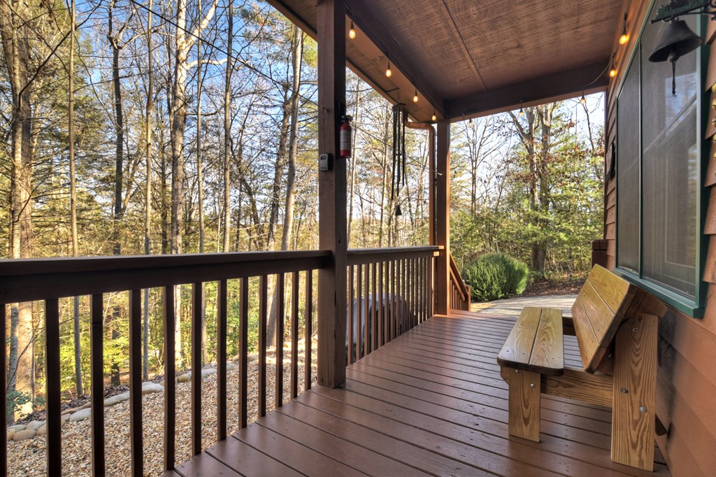 79 Icy Lane Blue Ridge, GA 30513 - Photo 33 of 44 Gallery Image 33