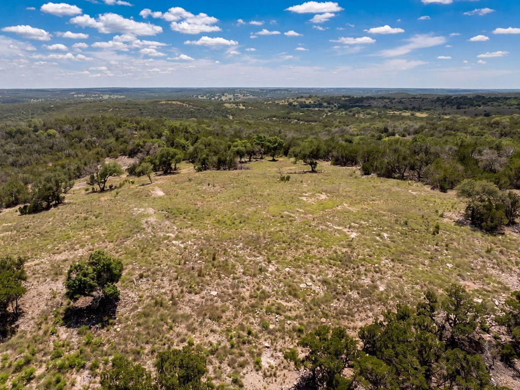 204 Wilson Ranch Road Hunt, TX 78024 - Photo 12 of 61 a view of a city