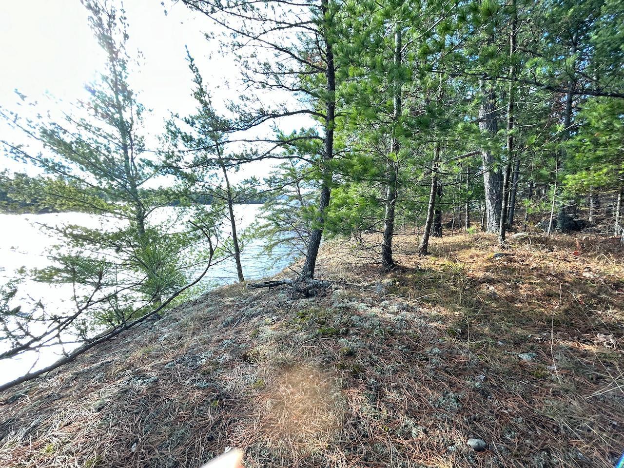 Tbd Wilderness Way Road Orr, MN 55771 - Photo 11 of 22
