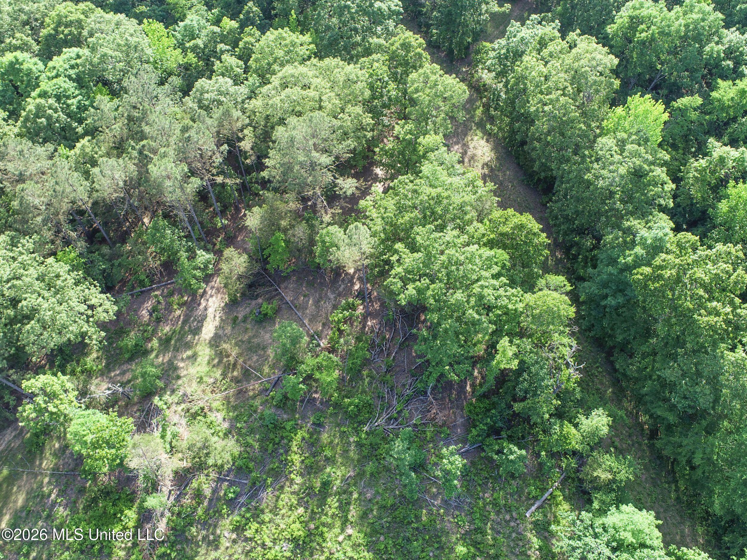 Wayne Massie Road Como, MS 38619 - Photo 72 of 184 3ctwmrd54