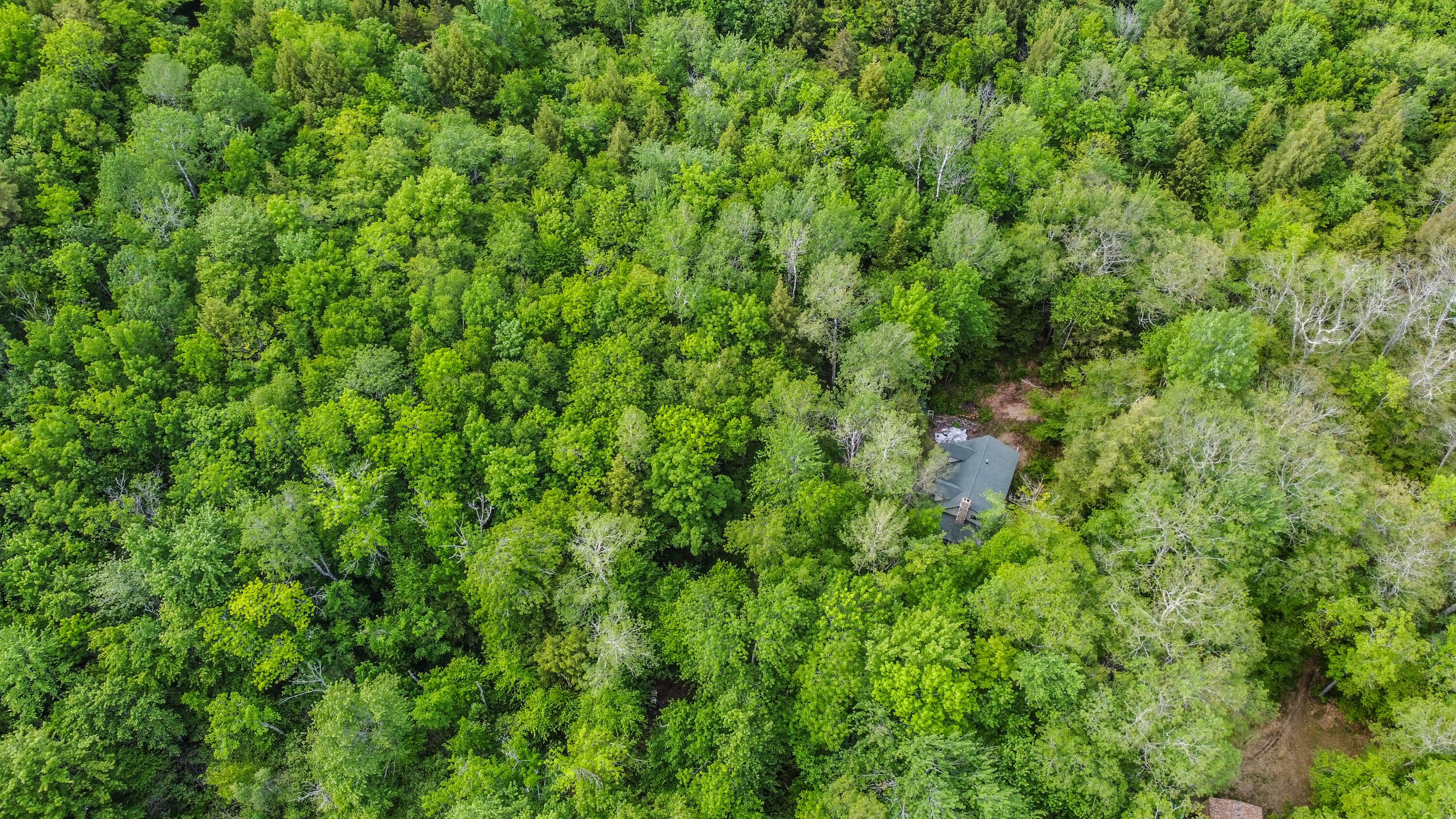 142 5 Kezar Ponds Road Waterford, ME 04088 - Photo 67 of 73 20220610gp-67037