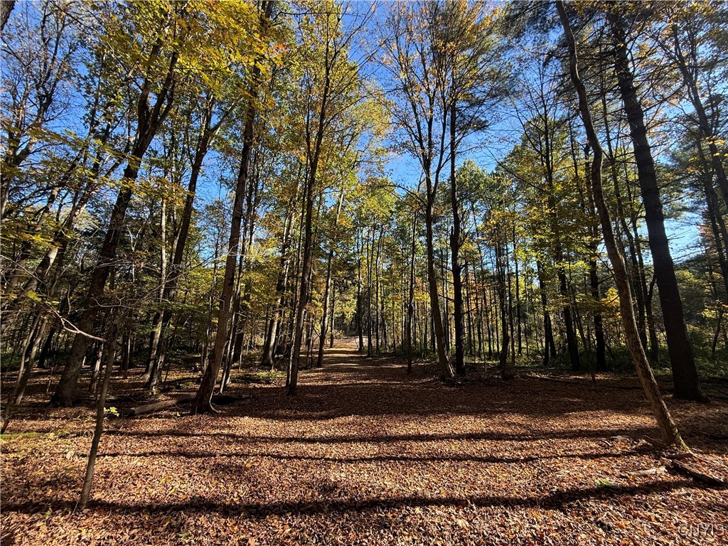 0 West Lake Road De Ruyter, NY 13052 - Photo 5 of 15