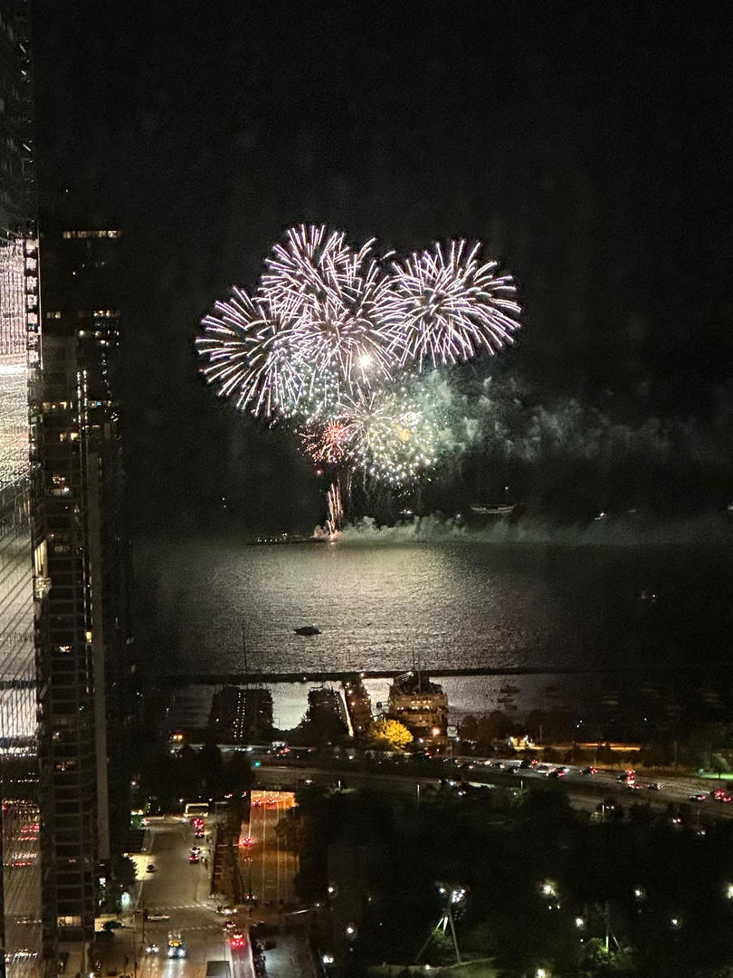 130 North Garland Court, Unit 4101 Chicago, IL 60602 - Photo 31 of 49 a view of a lake