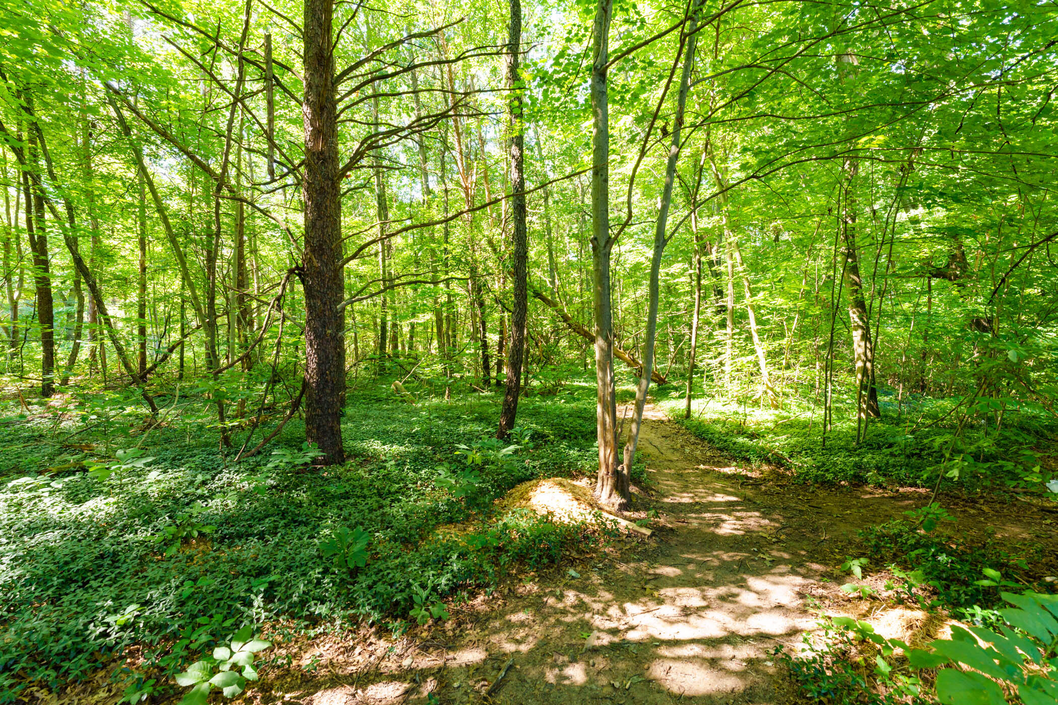 20678 Highway 60 Three Rivers, MI 49093 - Photo 47 of 65 M60_20678_ThreeRivers_49093-44