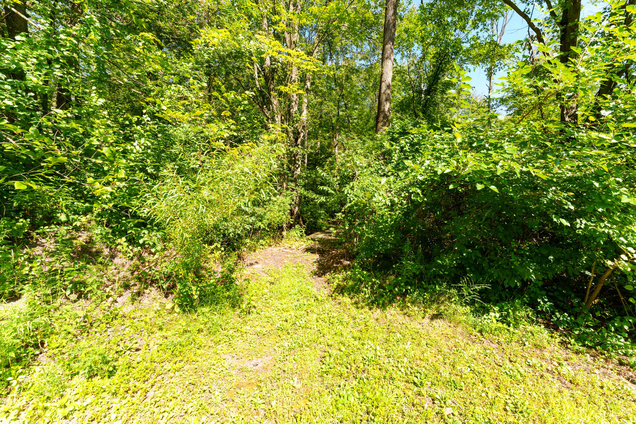 20678 Highway 60 Three Rivers, MI 49093 - Photo 51 of 65 M60_20678_ThreeRivers_49093-48