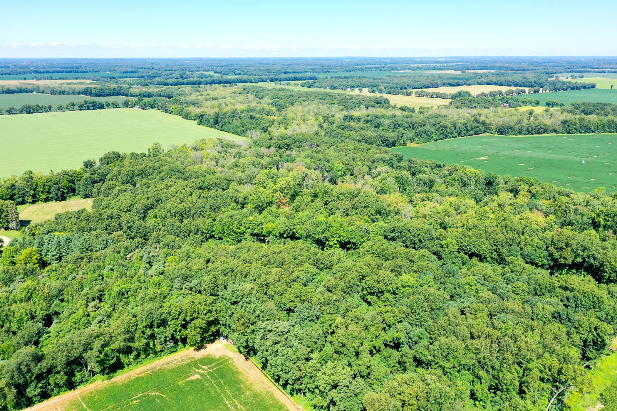 20678 Highway 60 Three Rivers, MI 49093 - Photo 60 of 65 M60_20678_ThreeRivers_49093-58