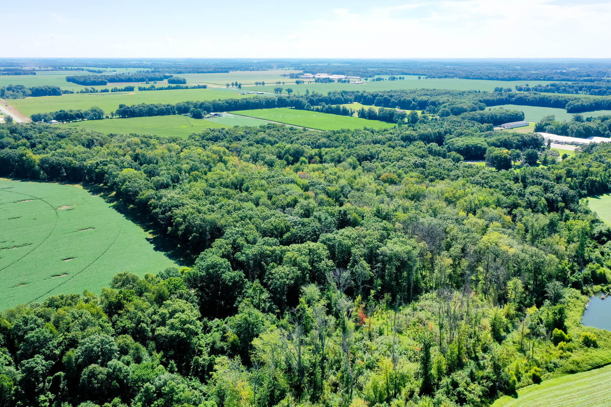 20678 Highway 60 Three Rivers, MI 49093 - Photo 64 of 65 M60_20678_ThreeRivers_49093-62