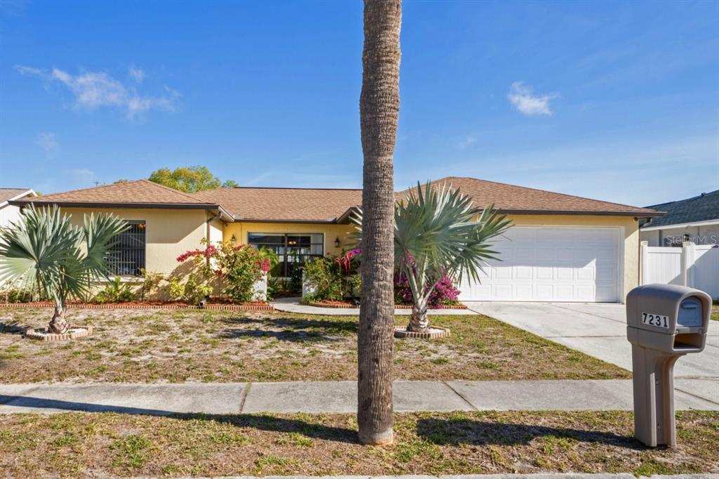 7231 Arbor View Lane New Port Richey, FL 34653 - Photo 1 of 1 a view of a palm tree next to a yard