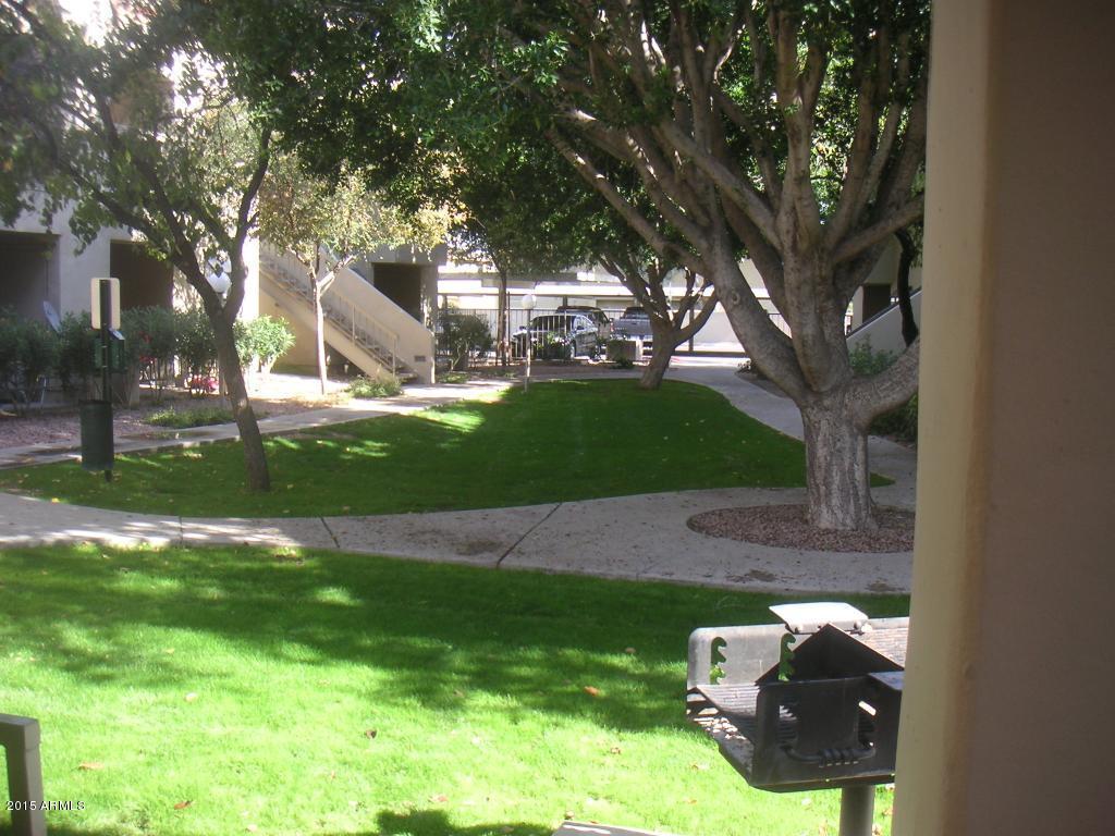 747 South Ext Road, Unit 221 Mesa, AZ 85210 - Photo 17 of 28 Grassyareaeastofpool