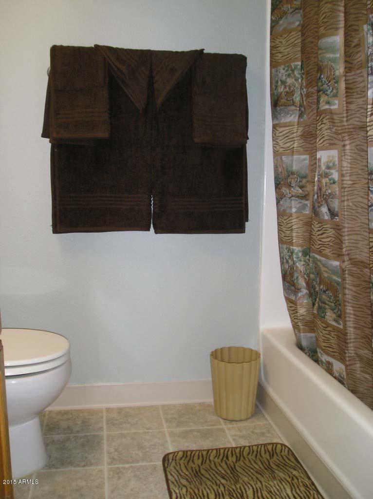 747 South Ext Road, Unit 221 Mesa, AZ 85210 - Photo 8 of 28 Master bath