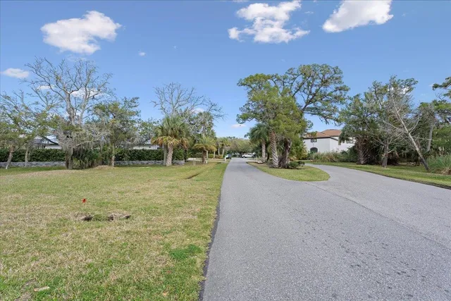 a view of a house with a yard and a large tree