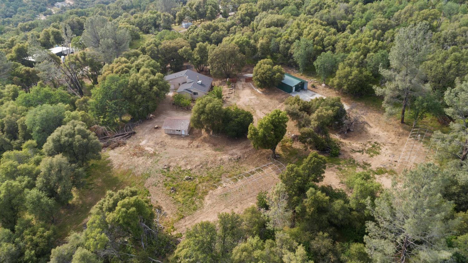 40809 Jean Road West Oakhurst, CA 93644 - Photo 39 of 39 a view of a forest with trees