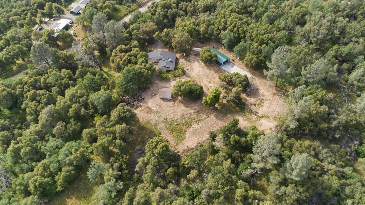 40809 Jean Road West Oakhurst, CA 93644 - Photo 5 of 39 a view of a forest with a tree