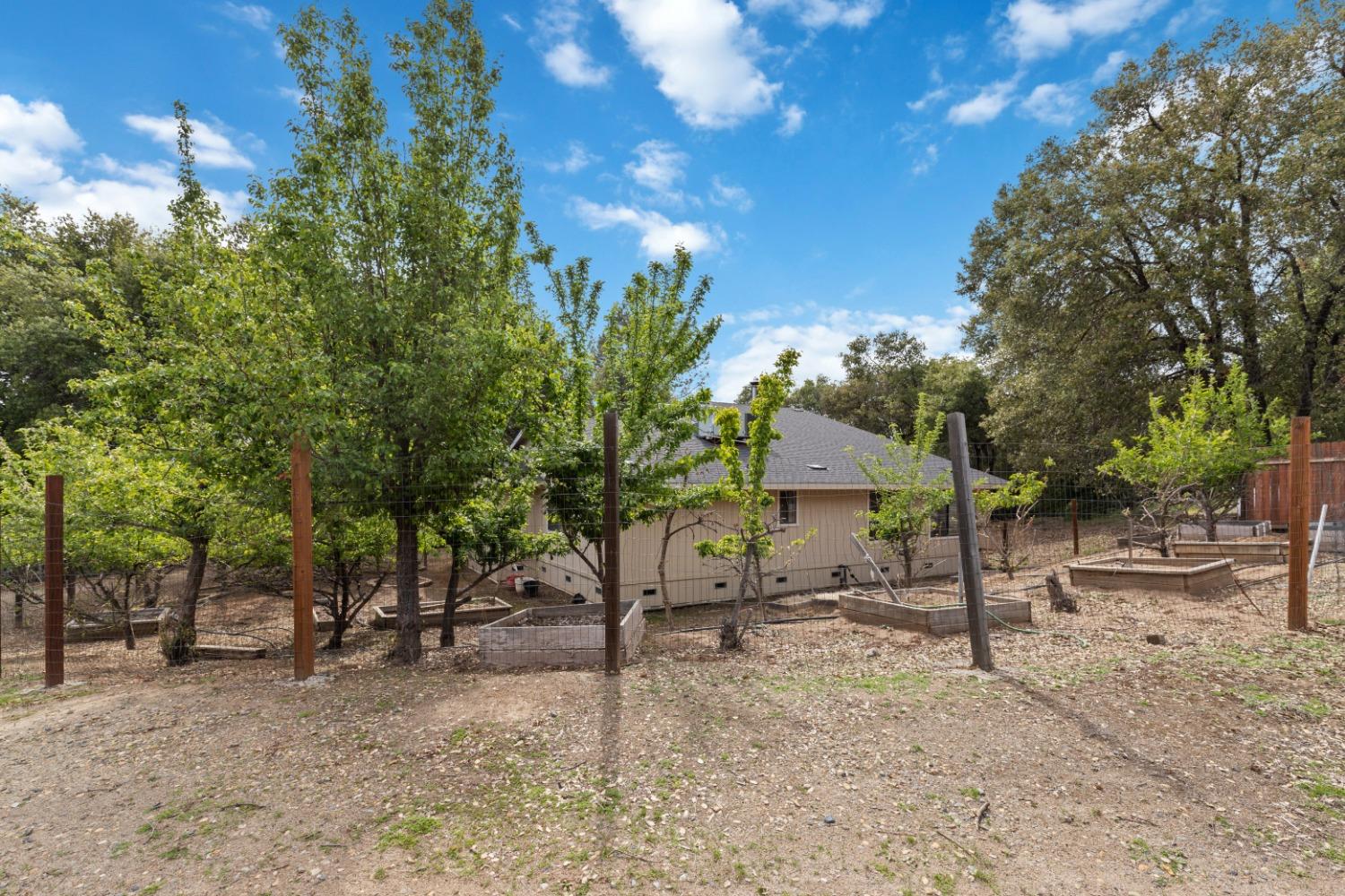 40809 Jean Road West Oakhurst, CA 93644 - Photo 8 of 39 a view of a house with a backyard