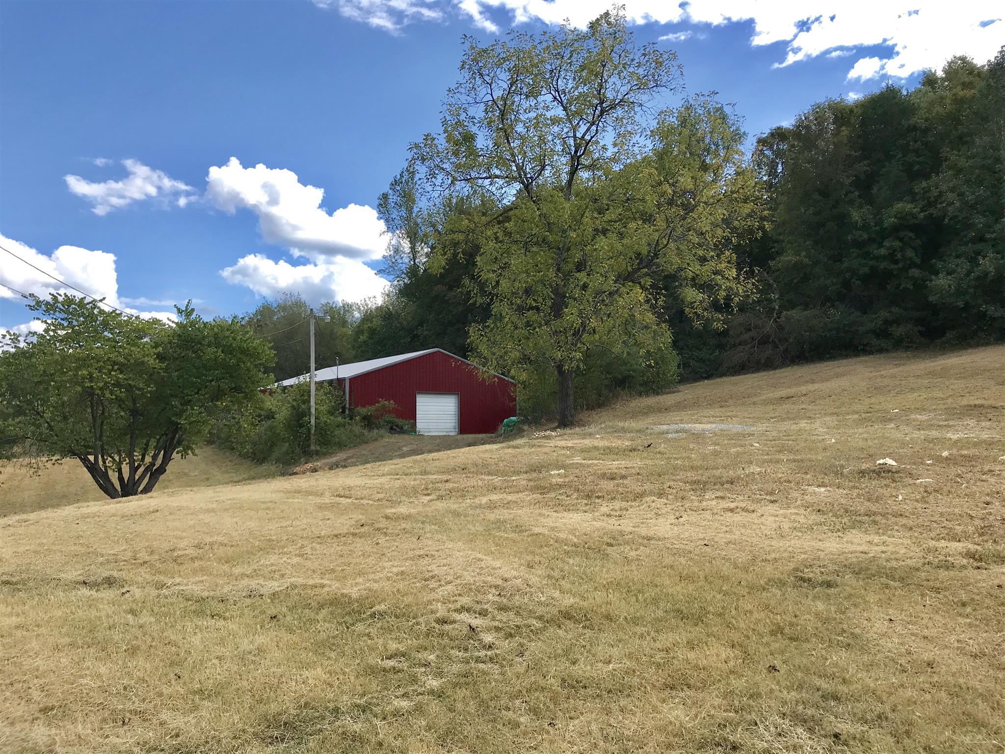 1675 Caney Branch Road Stewart, TN 37175 - Photo 1 of 6 a backyard of a house with lots of green space