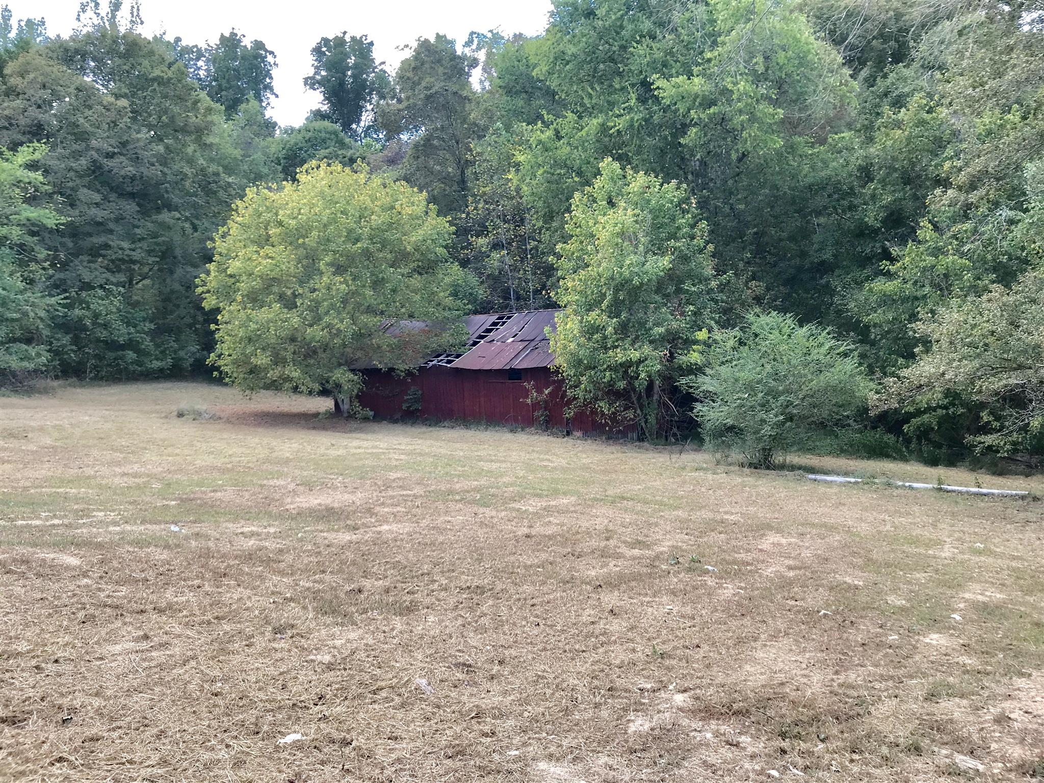1675 Caney Branch Road Stewart, TN 37175 - Photo 5 of 6