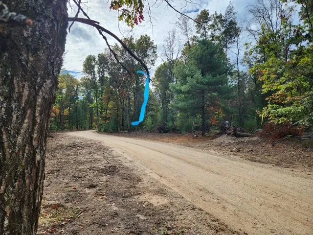 $52,900 | Parcel E Parcel E Tatanka Trail, Baldwin, MI 49304