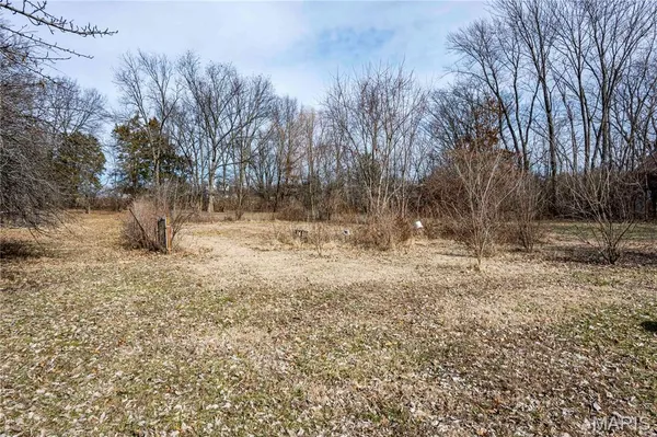 $1 | 0 State Hwy OO, Wright City, MO 63390