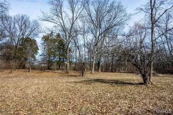 $1 | 0 State Hwy OO, Wright City, MO 63390