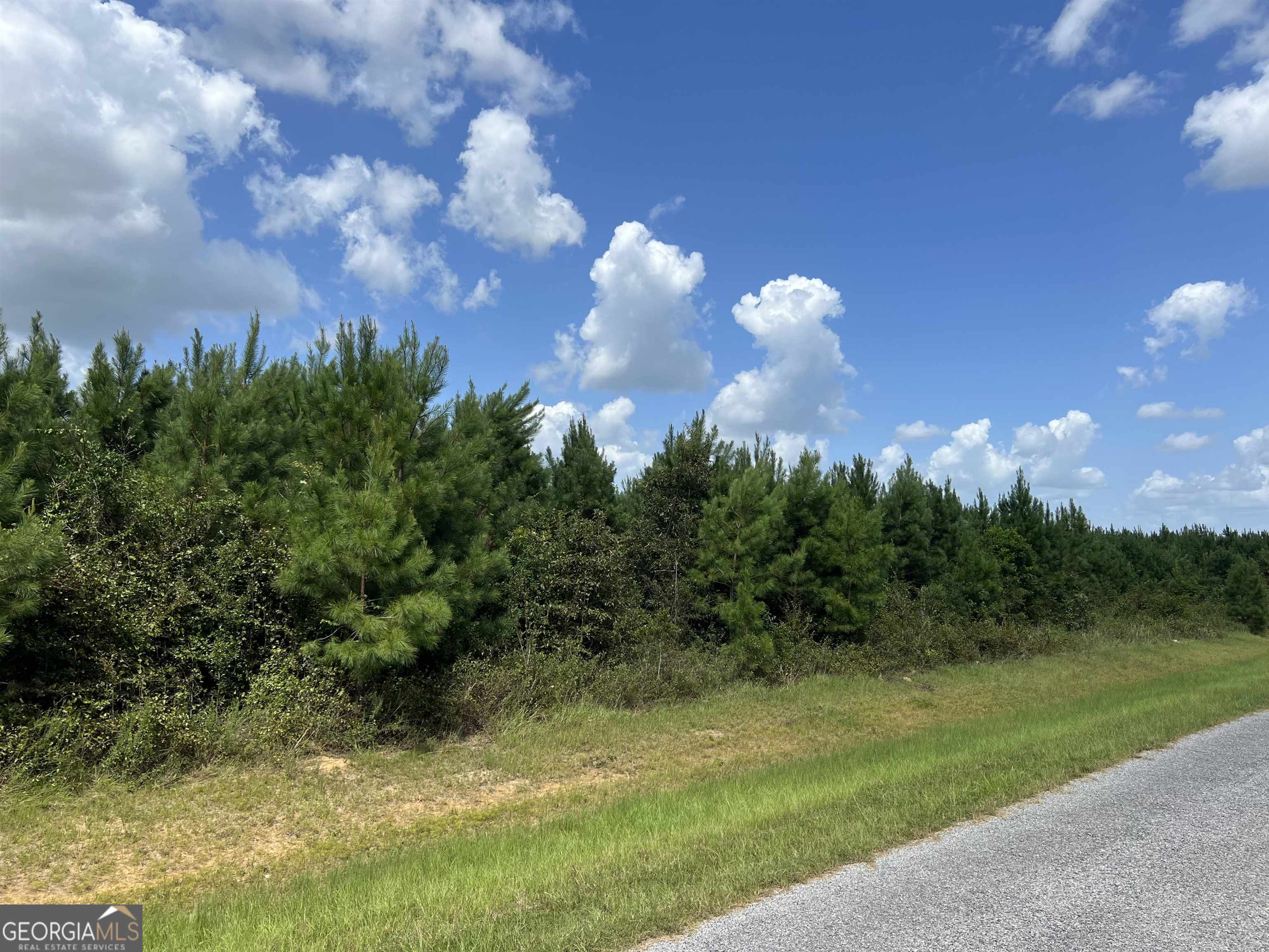 Lot 8 Whitfield Road Elko, GA 31025 - Photo 1 of 1 Gallery Image 1