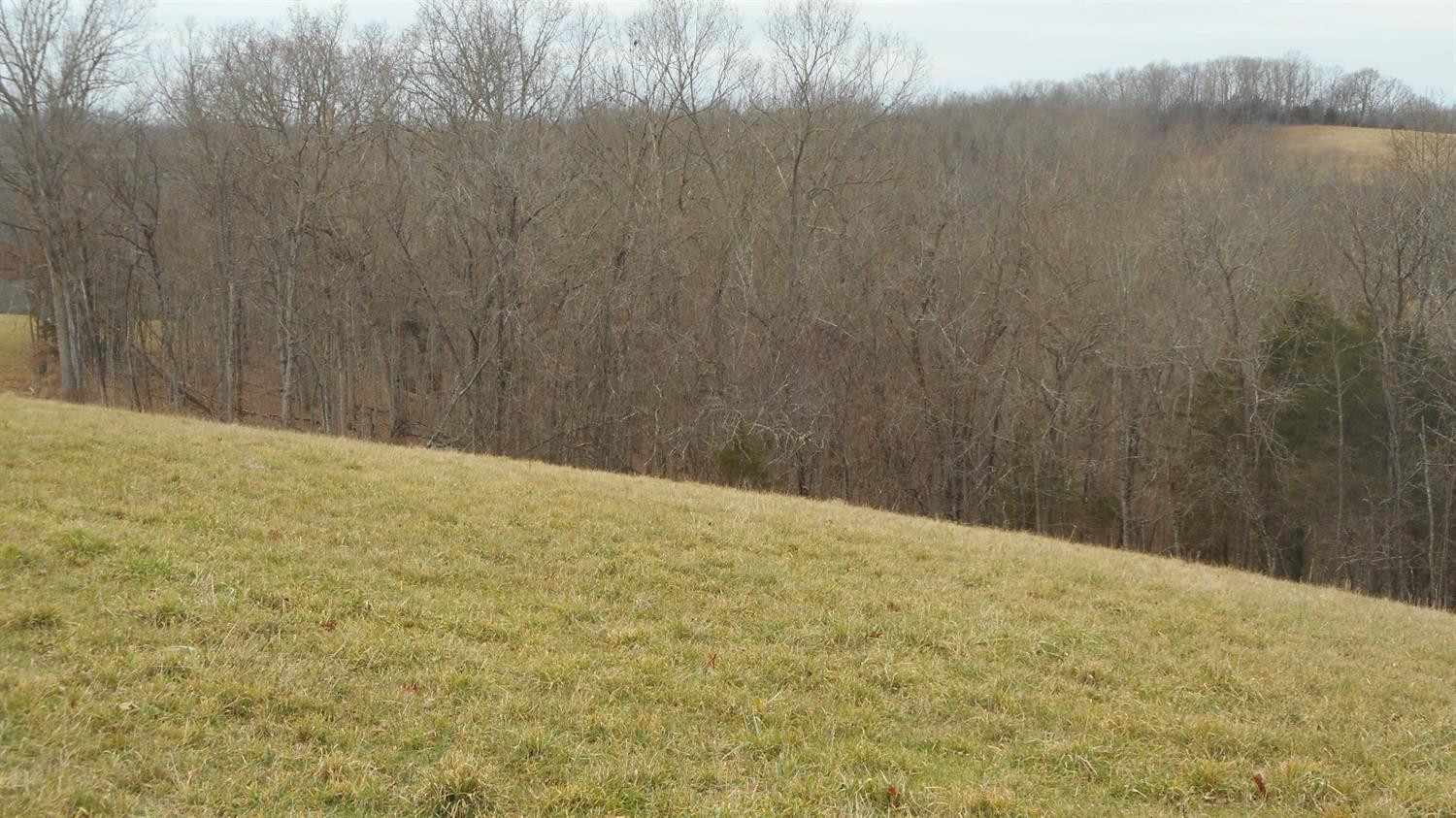 3 Ogden Ridge Road Mount Olivet, KY 41064 - Photo 4 of 6 Photo 4