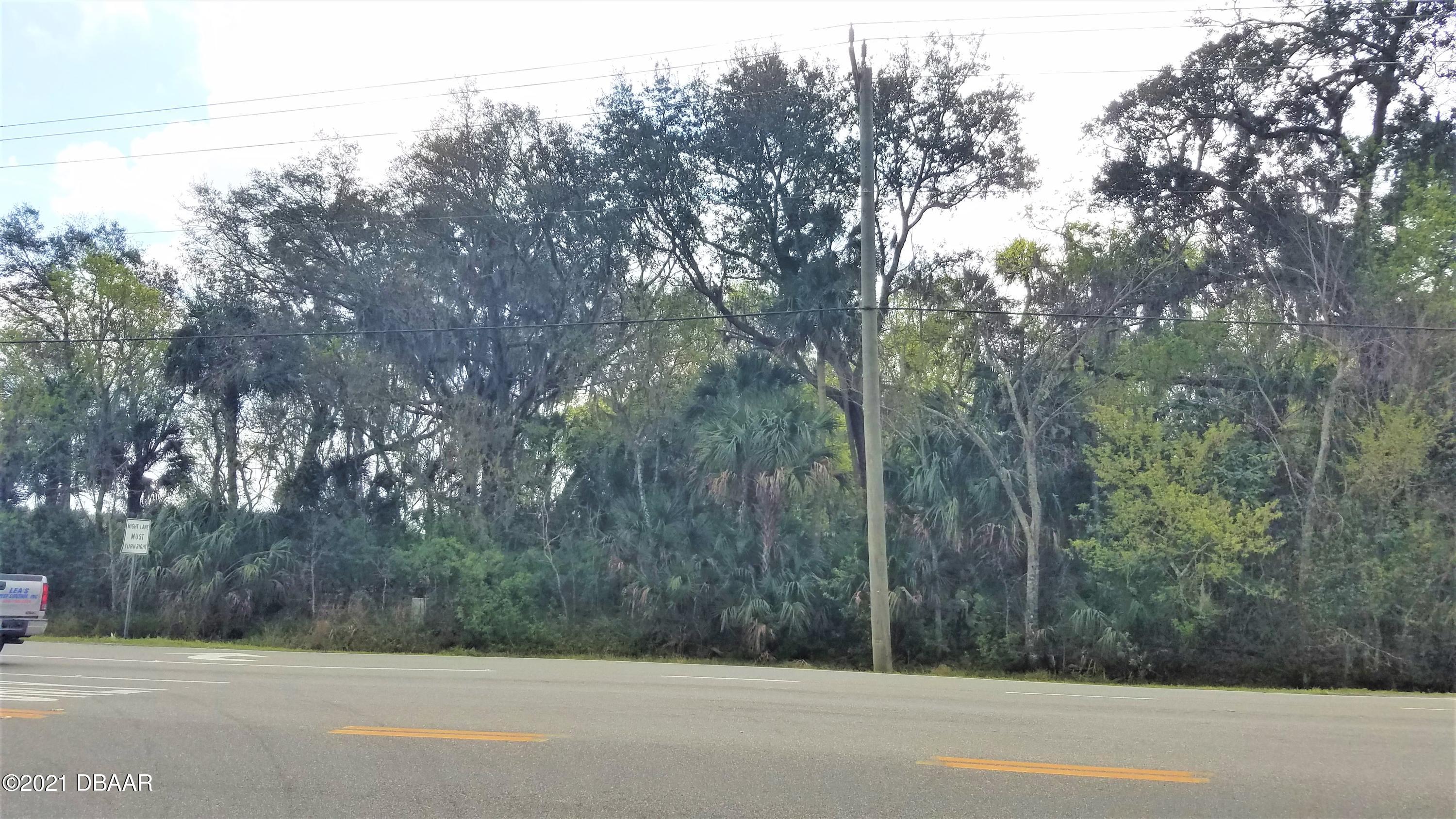 1802 South Nova Road South Daytona, FL 32119 - Photo 4 of 5 a view of a forest