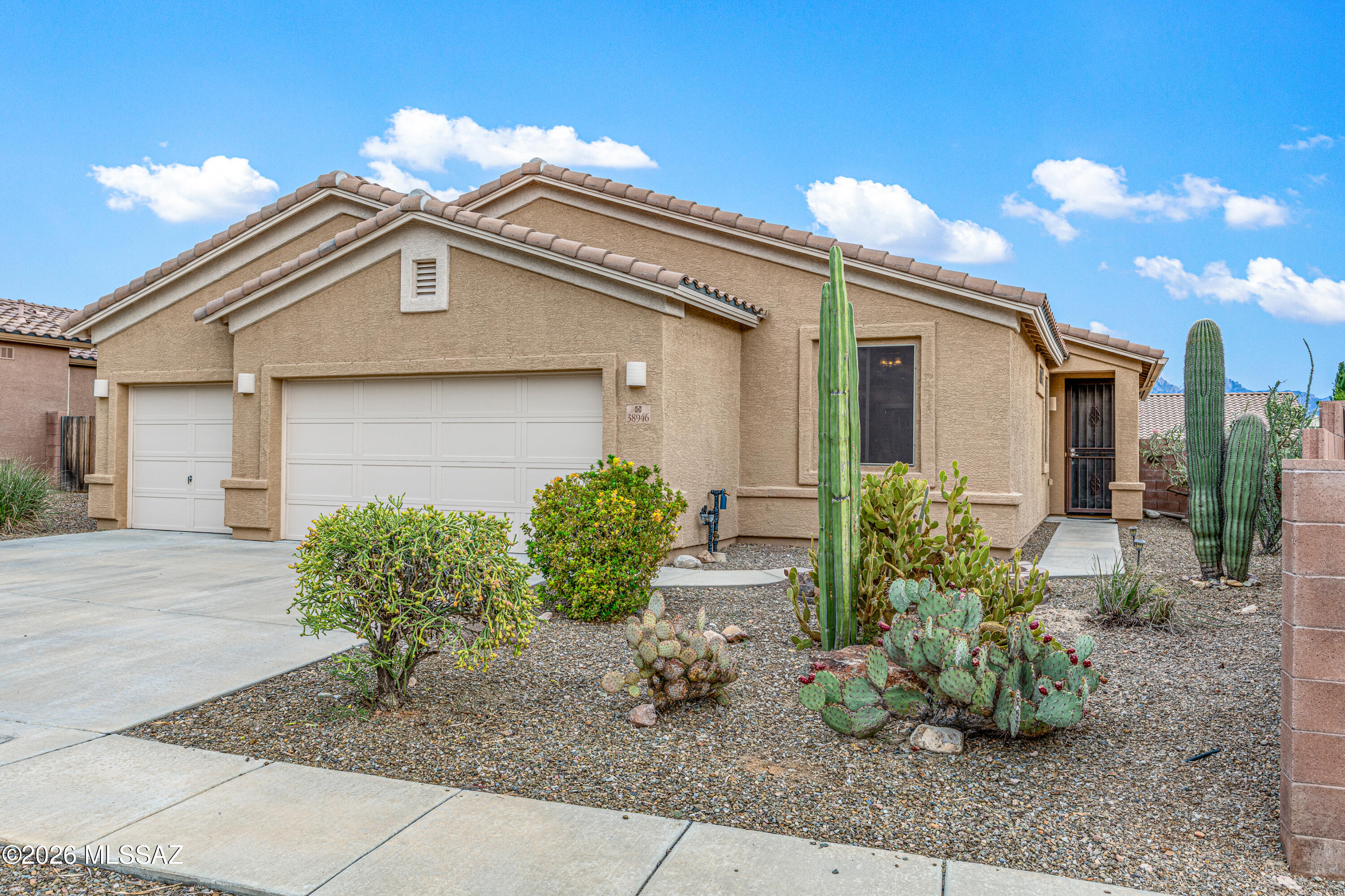 38946 South Running Roses Lane Tucson, AZ 85739 - Photo 3 of 36 Professional Landscape