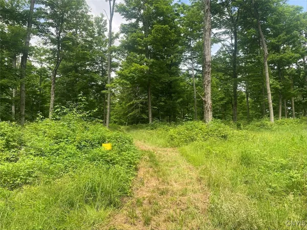 $215,000 | Fulmer Valley Road, Wellsville, NY 14895