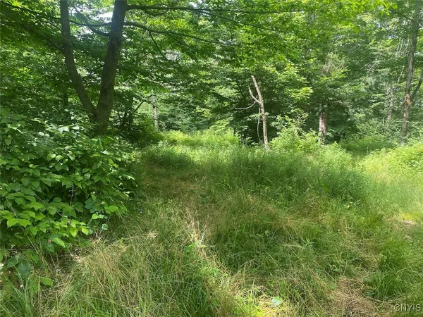 $215,000 | Fulmer Valley Road, Wellsville, NY 14895