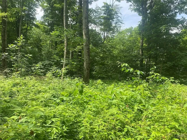 $229,900 | Fulmer Valley Road, Wellsville, NY 14895