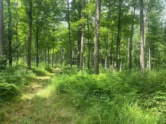 $229,900 | Fulmer Valley Road, Wellsville, NY 14895