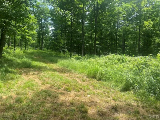 $229,900 | Fulmer Valley Road, Wellsville, NY 14895