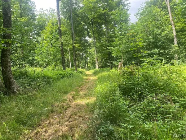 $215,000 | Fulmer Valley Road, Wellsville, NY 14895