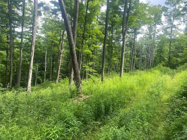 $229,900 | Fulmer Valley Road, Wellsville, NY 14895