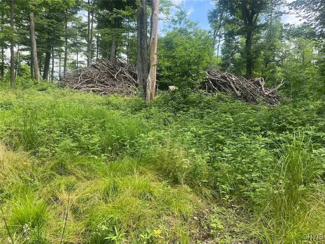 $229,900 | Fulmer Valley Road, Wellsville, NY 14895