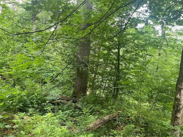 $229,900 | Fulmer Valley Road, Wellsville, NY 14895