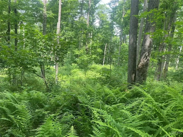 $229,900 | Fulmer Valley Road, Wellsville, NY 14895