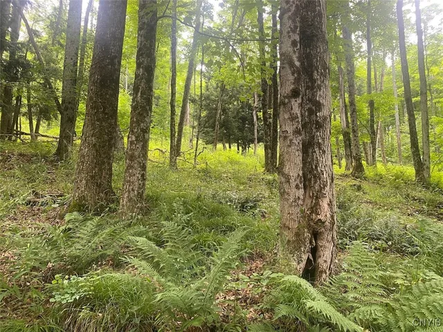 $229,900 | Fulmer Valley Road, Wellsville, NY 14895