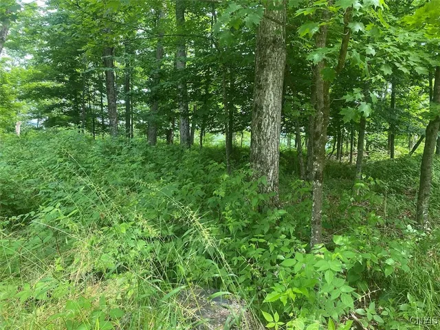$229,900 | Fulmer Valley Road, Wellsville, NY 14895