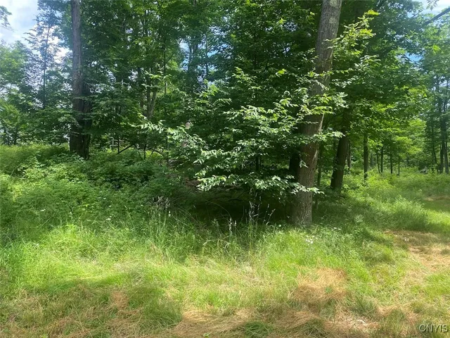 $229,900 | Fulmer Valley Road, Wellsville, NY 14895