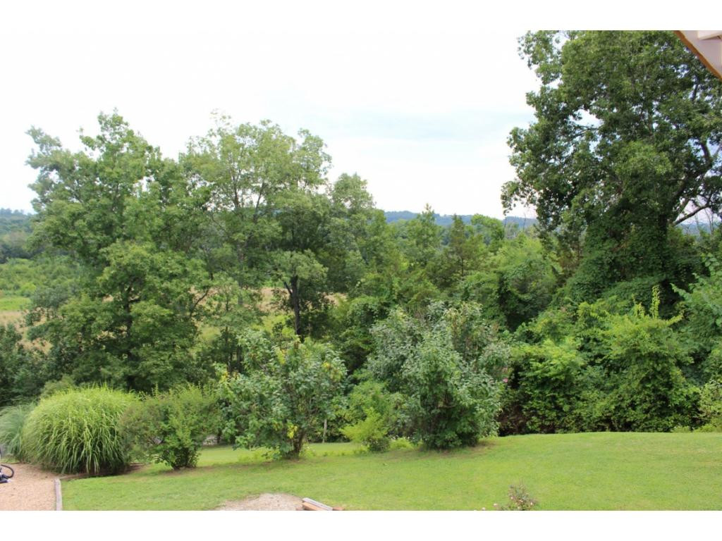 615 Pruitt Road Greeneville, TN 37743 - Photo 14 of 24 Photo 14