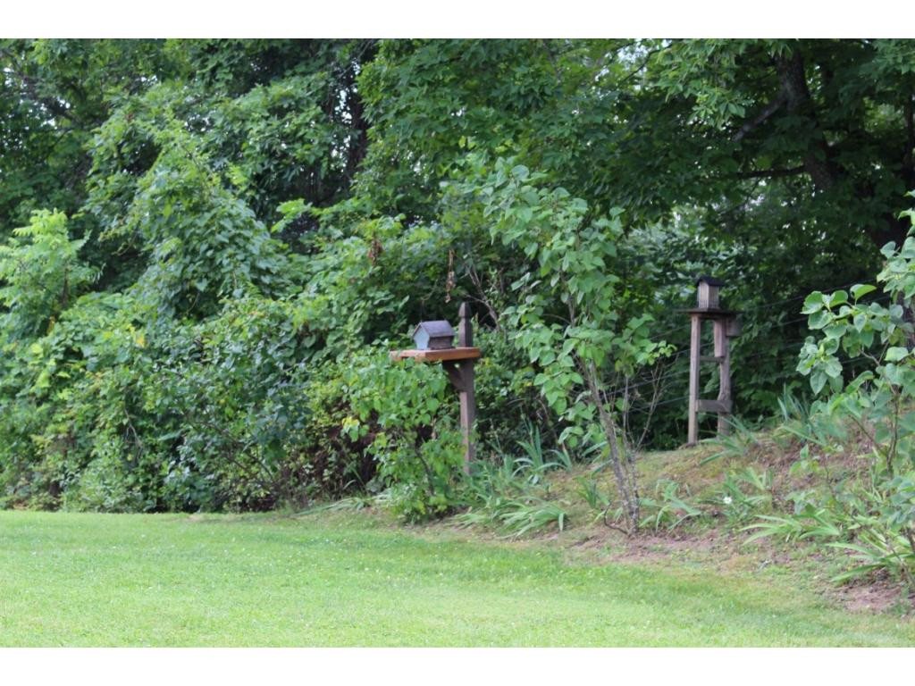 615 Pruitt Road Greeneville, TN 37743 - Photo 8 of 24 Photo 8